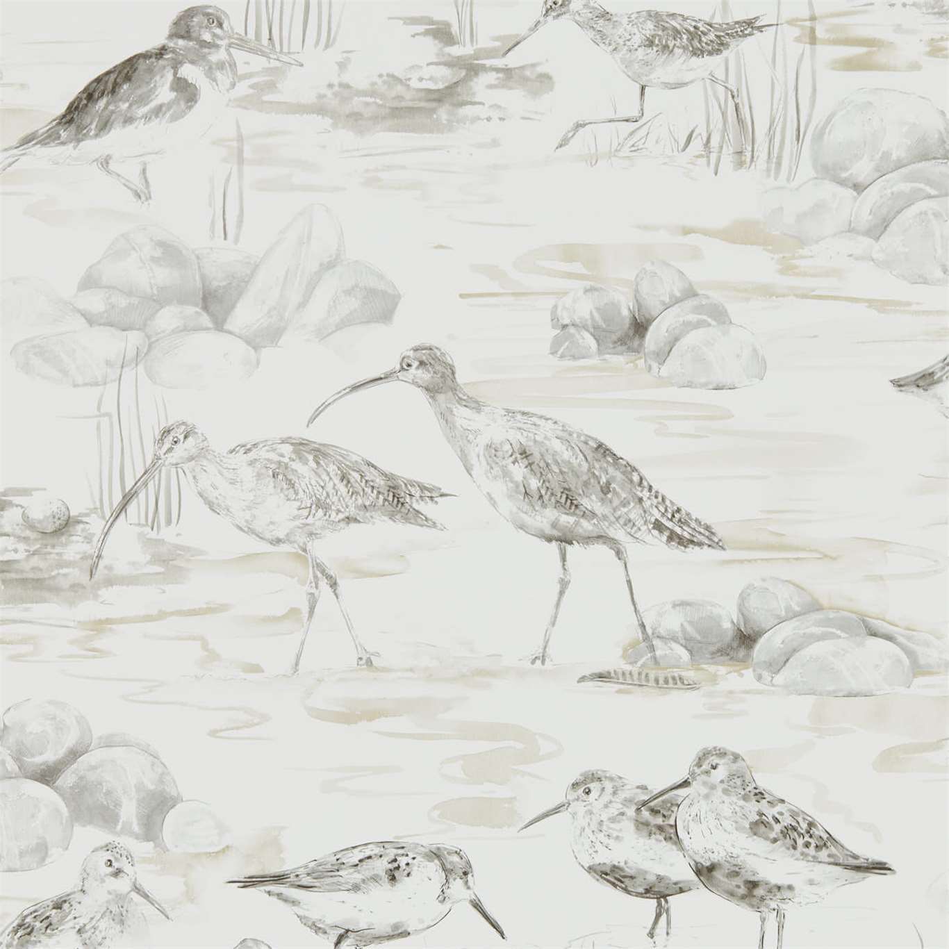 Estuary Birds Wallpaper