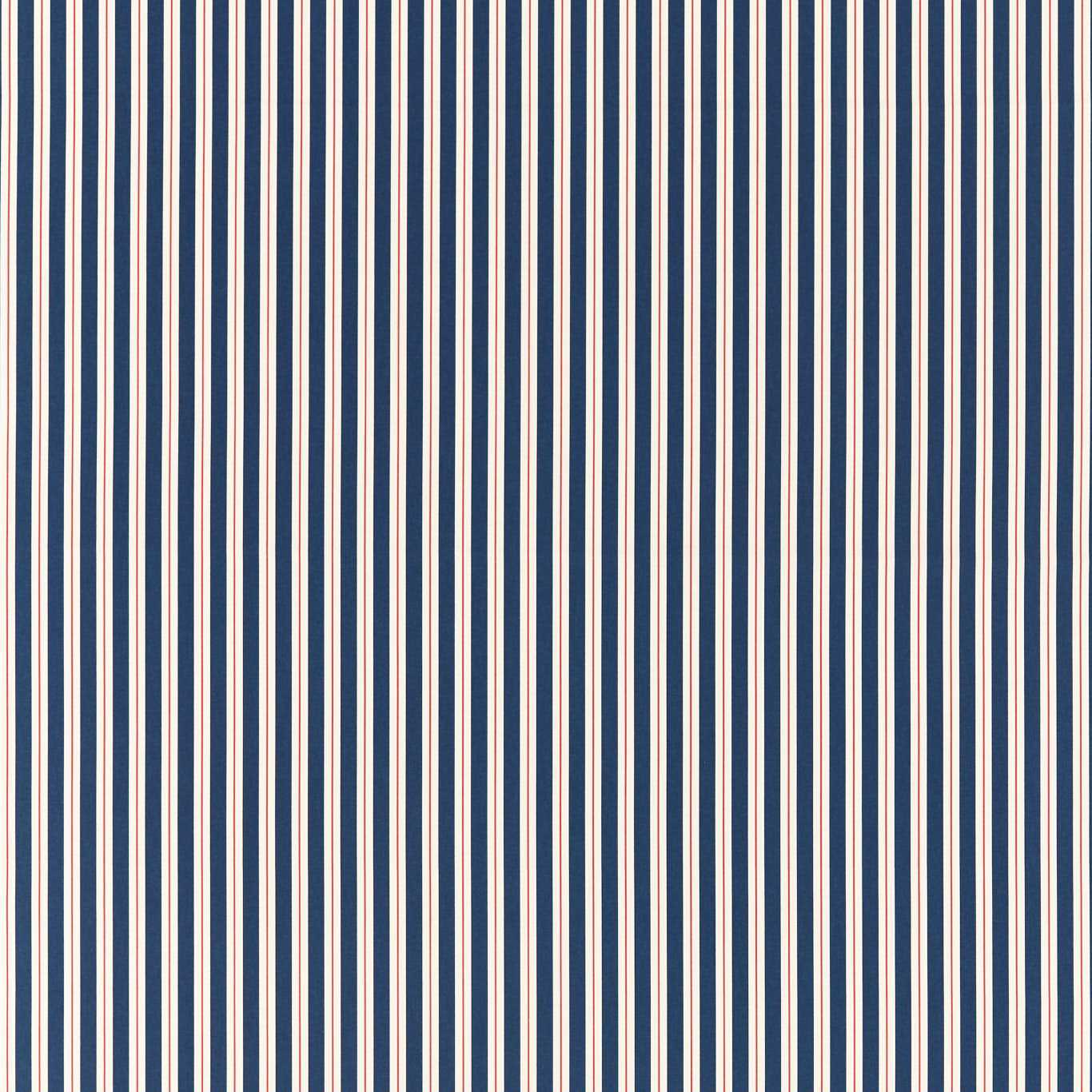 Carousel Fabric
