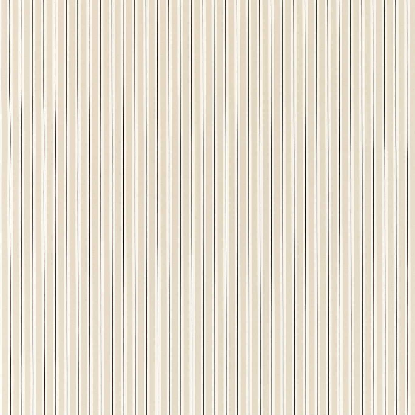 Carousel Fabric