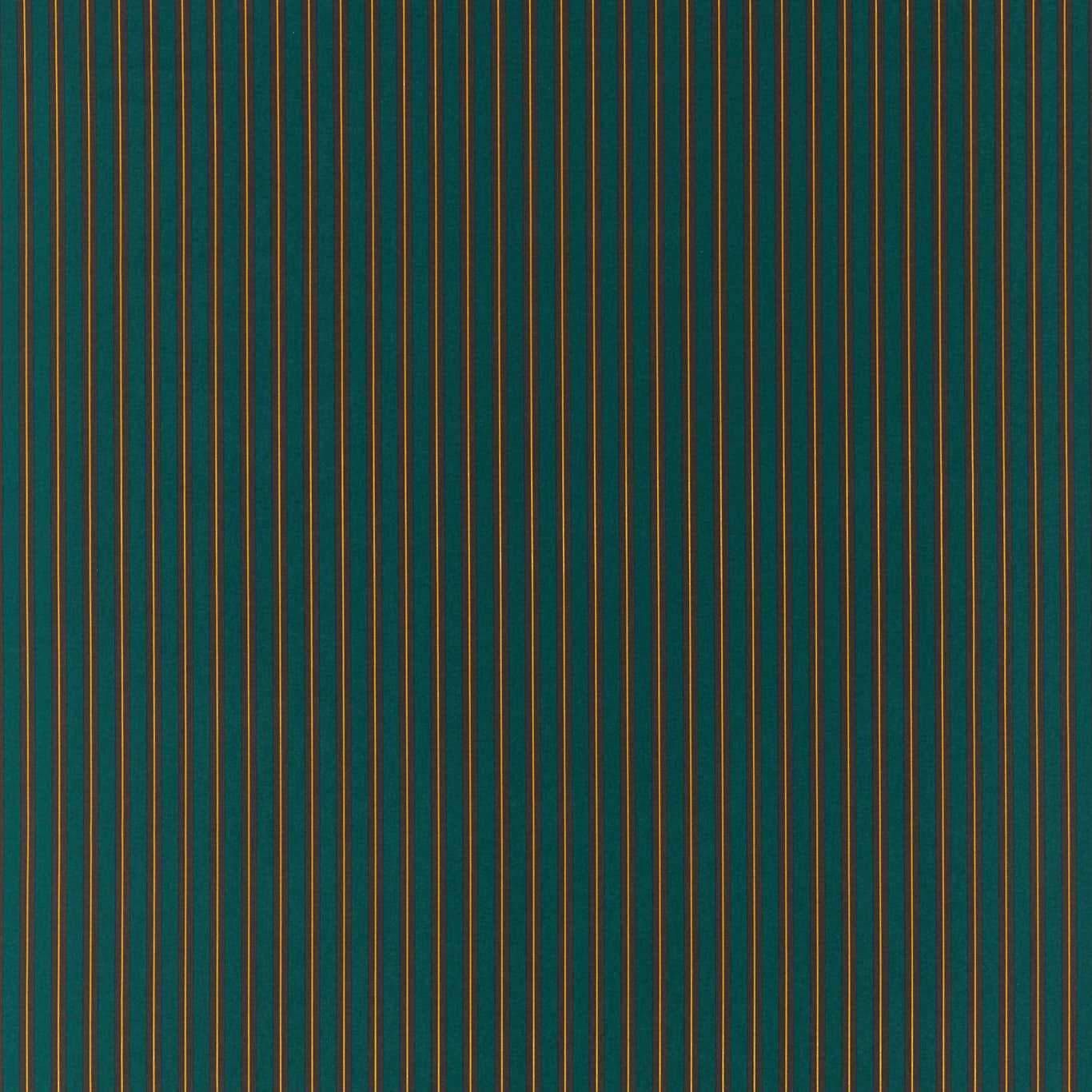 Carousel Fabric