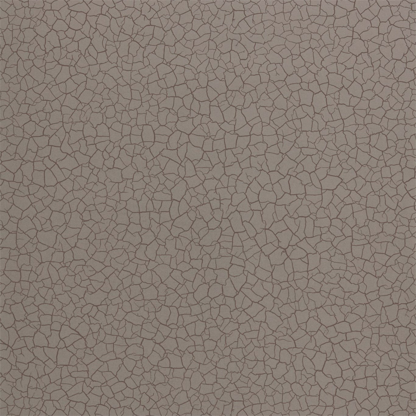 Cracked Earth Wallpaper