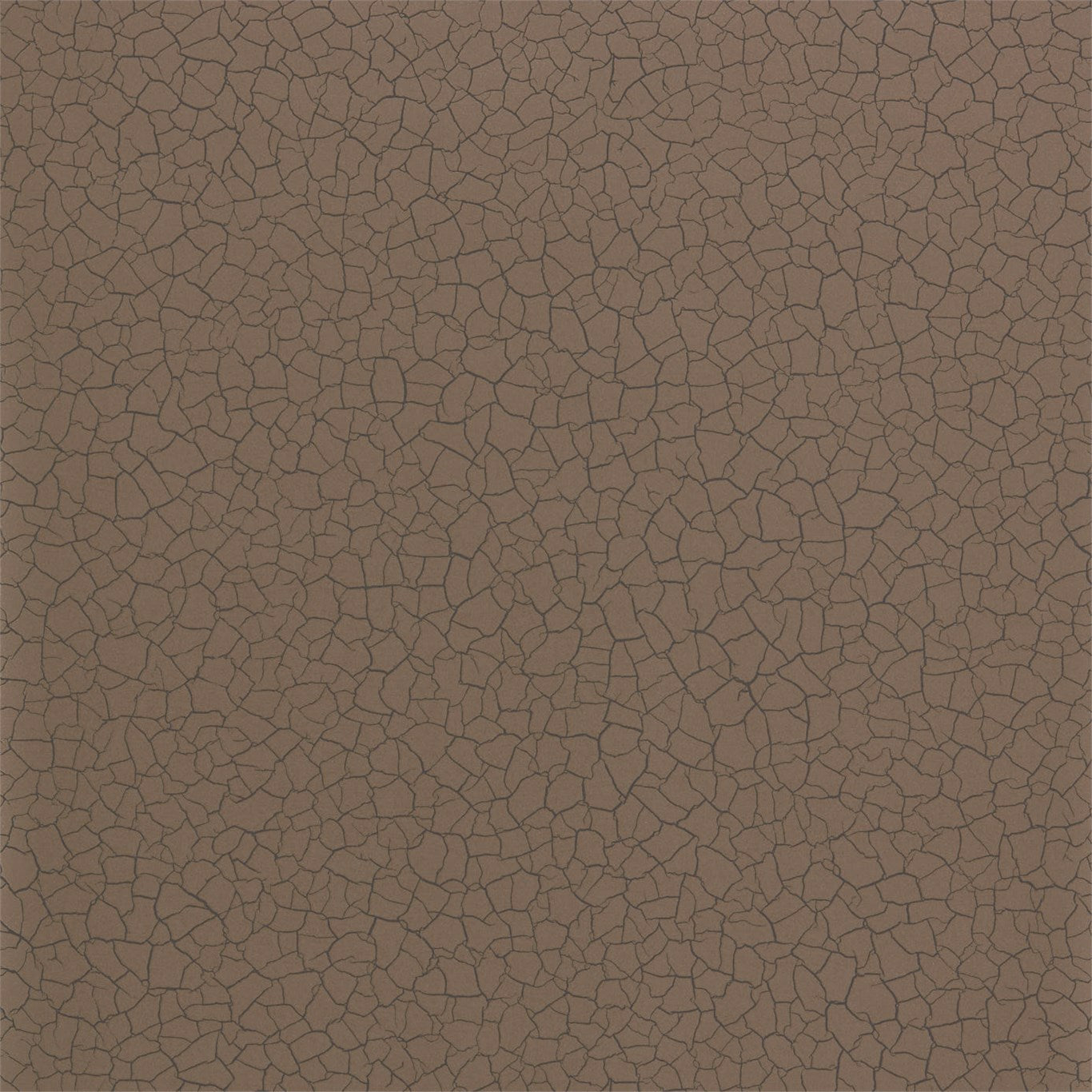 Cracked Earth Wallpaper