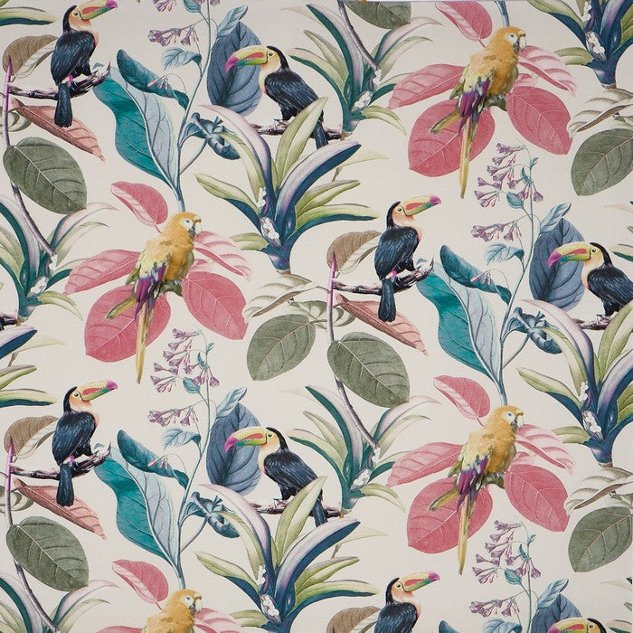 Parakeet Fabric