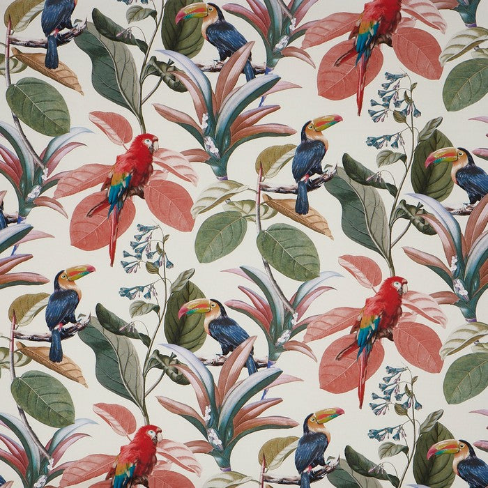 Parakeet Fabric