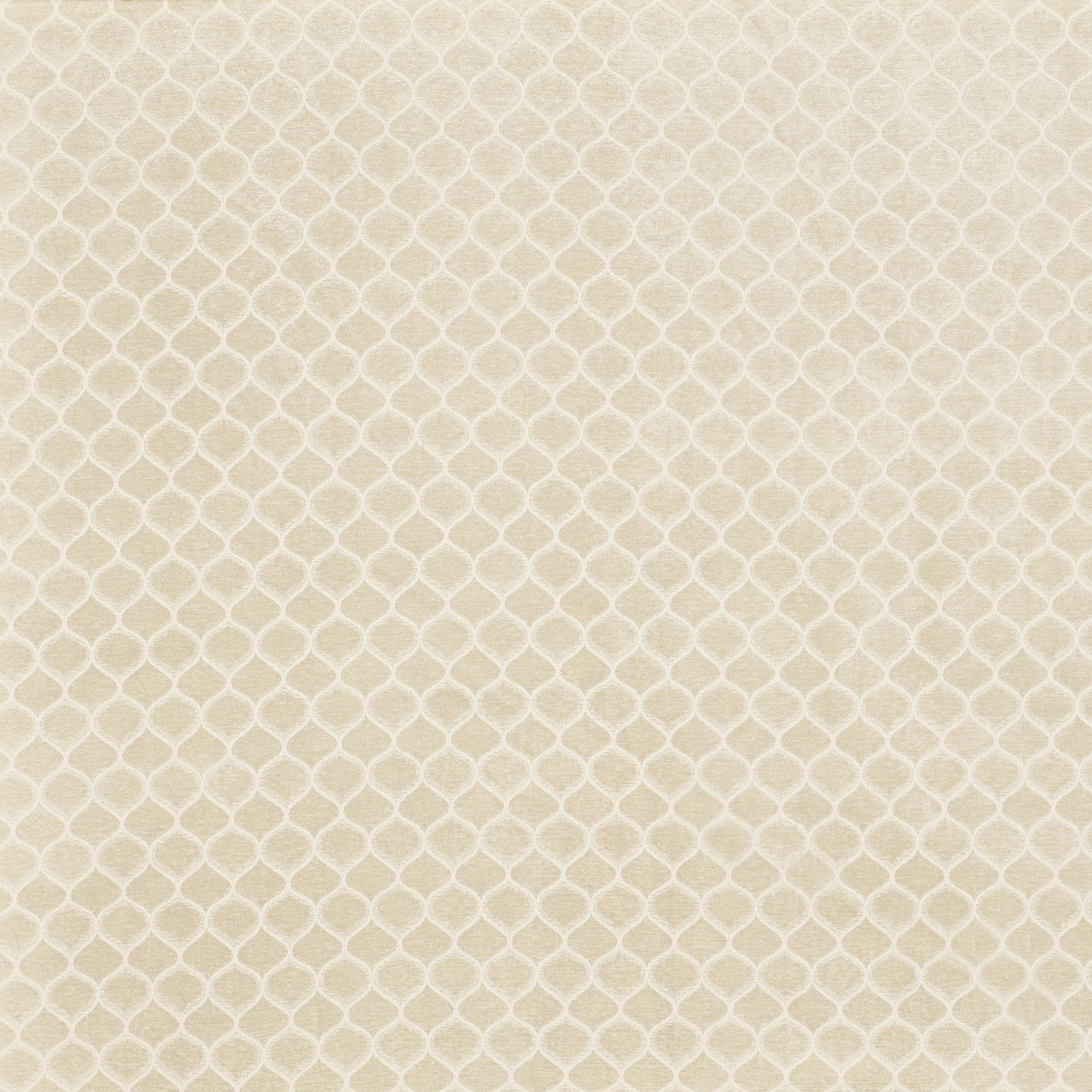 Meteor Fabric
