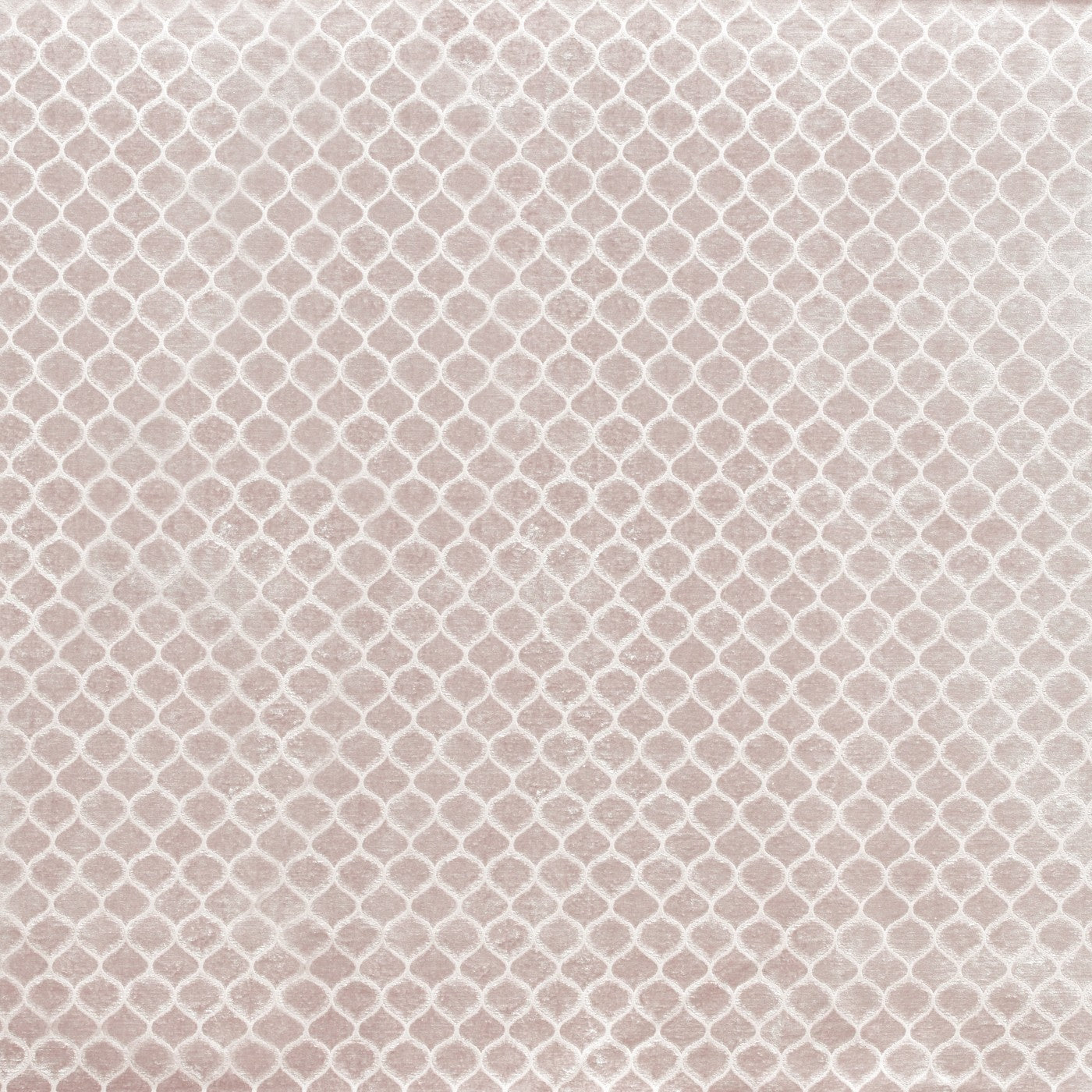 Meteor Fabric