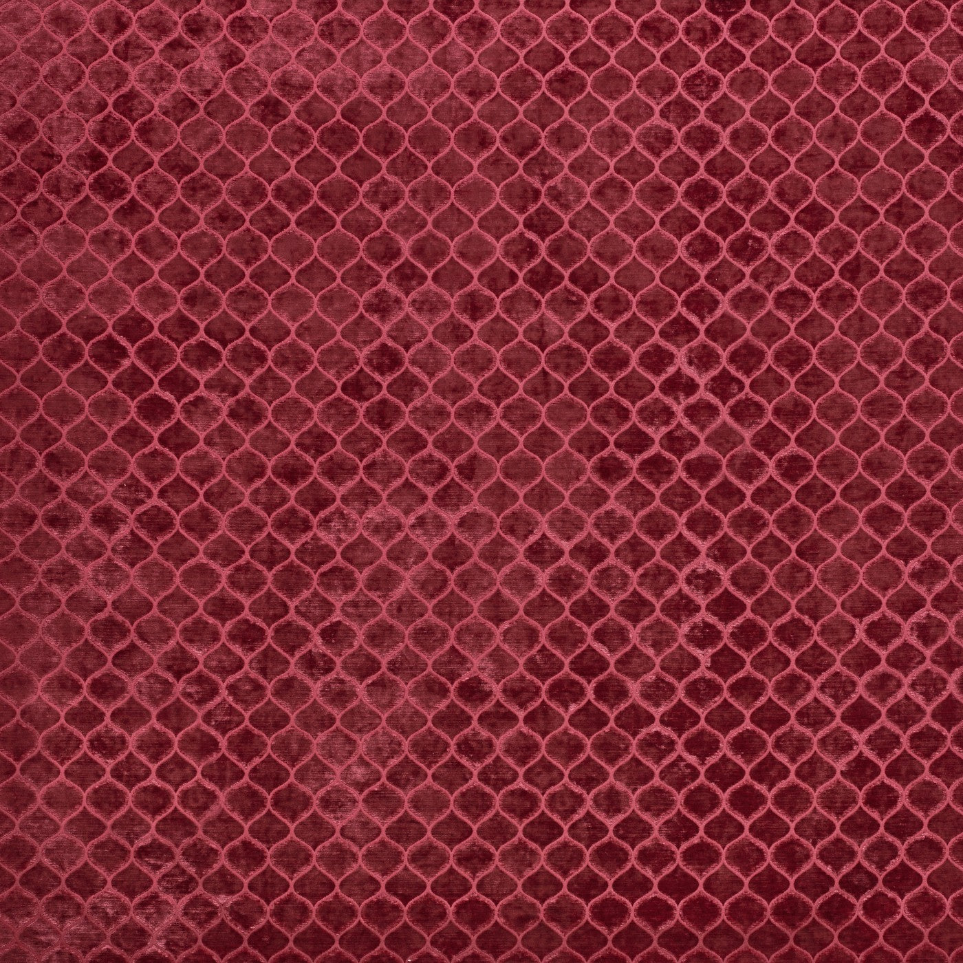 Meteor Fabric