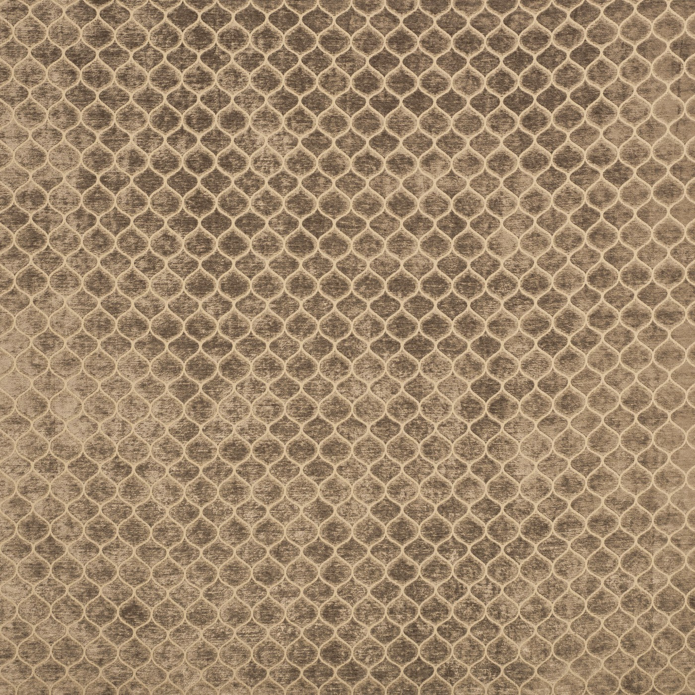 Meteor Fabric