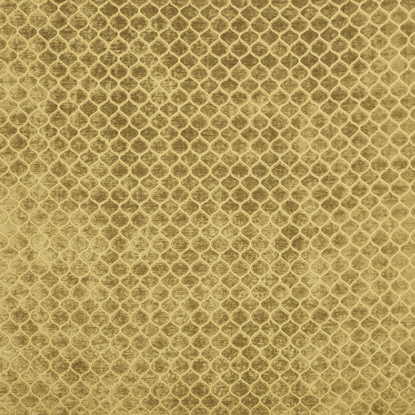Meteor Fabric