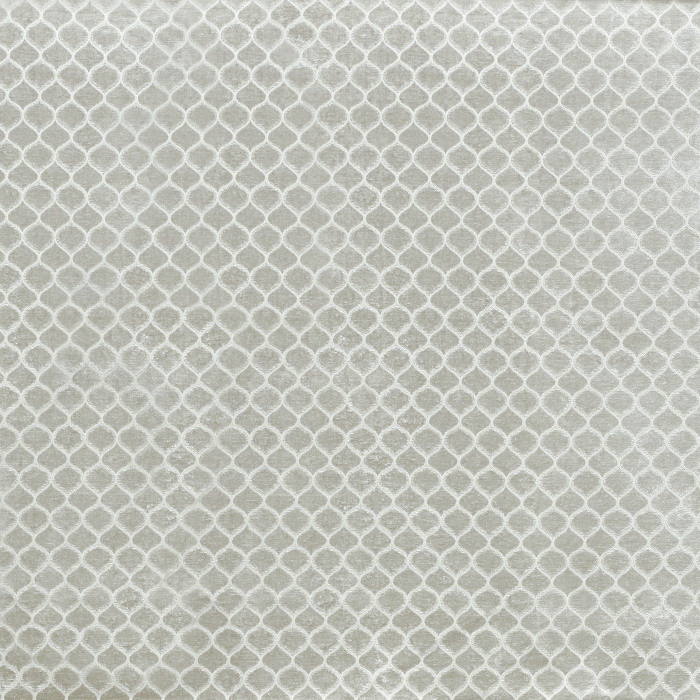 Meteor Fabric