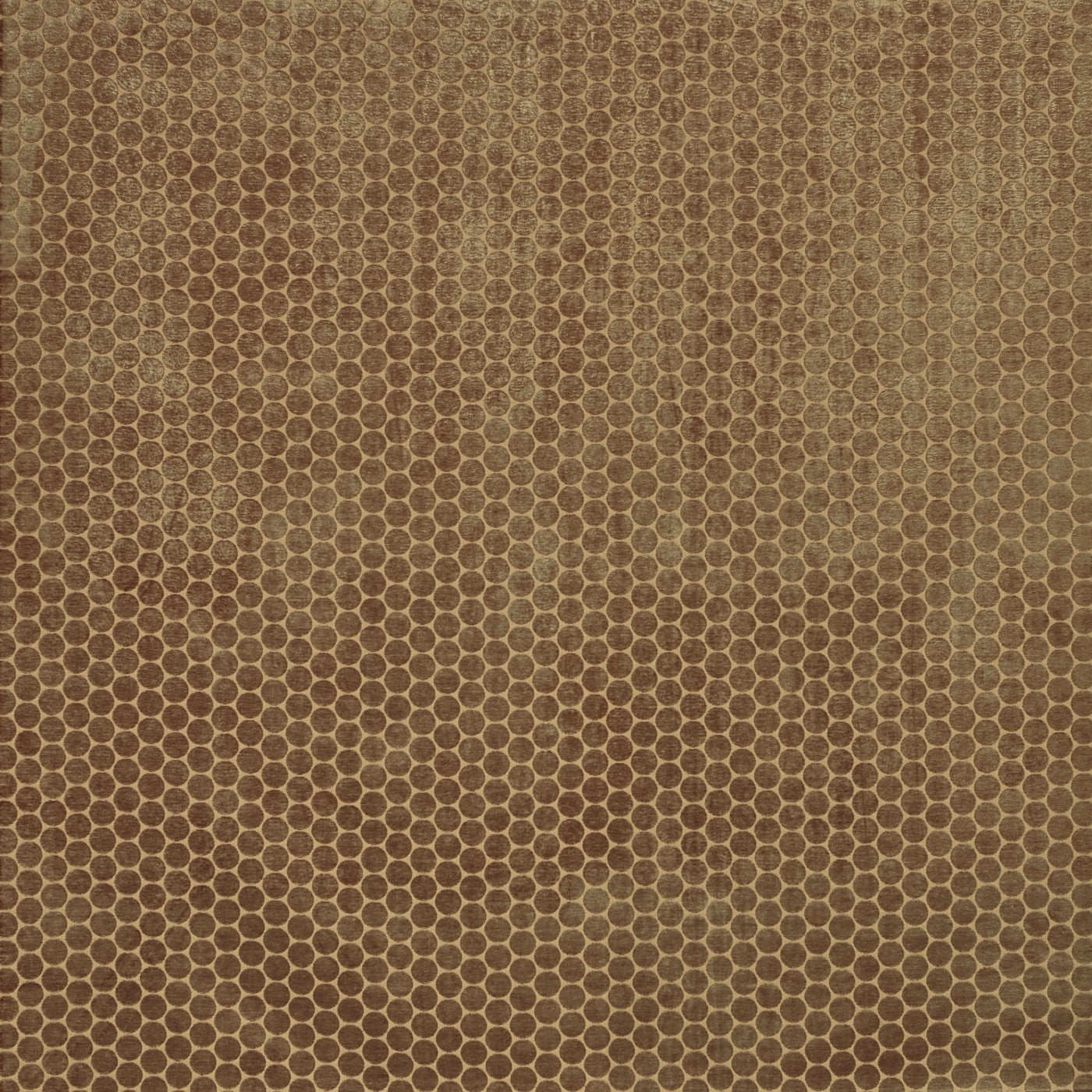 Moon Fabric