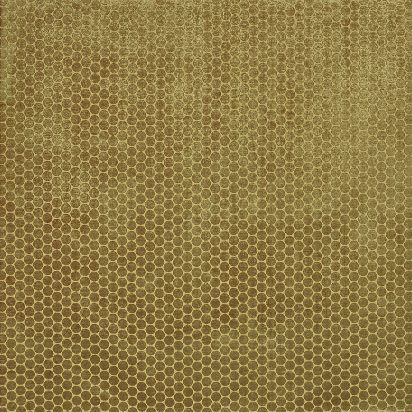 Moon Fabric
