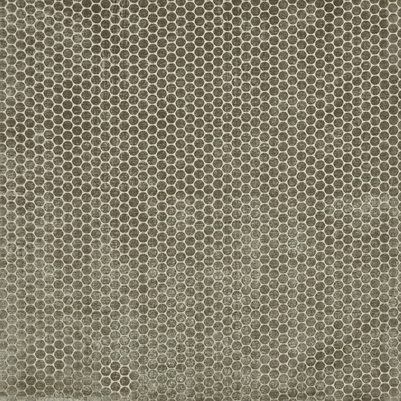 Moon Fabric