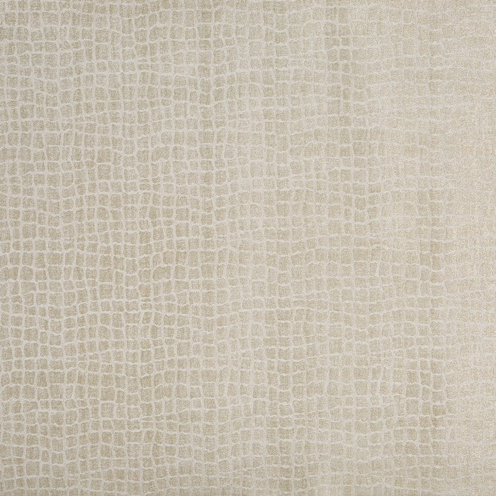 Phineas Fabric