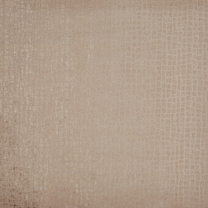 Phineas Fabric