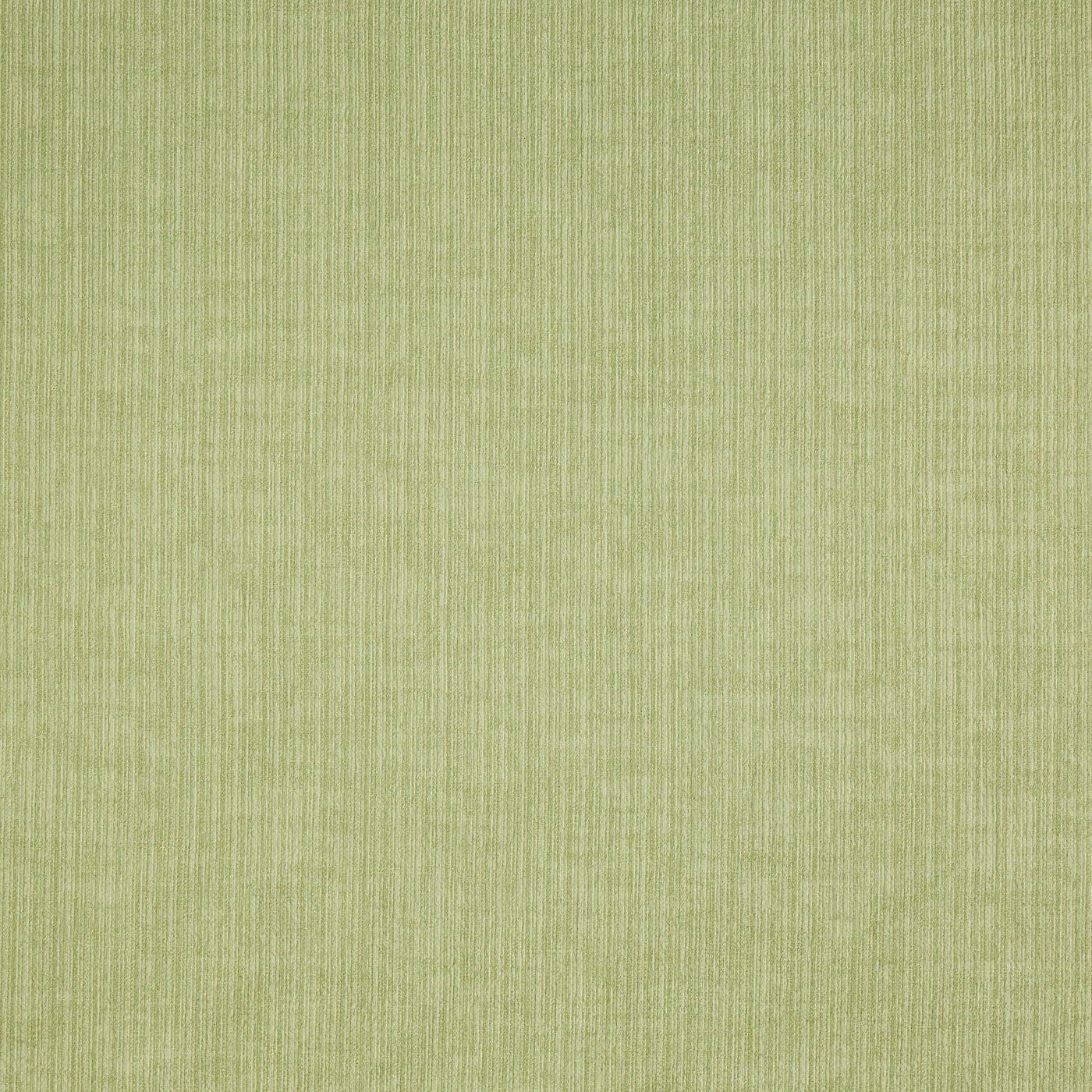 Spencer Fabric