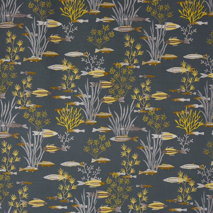 Shallows Fabric