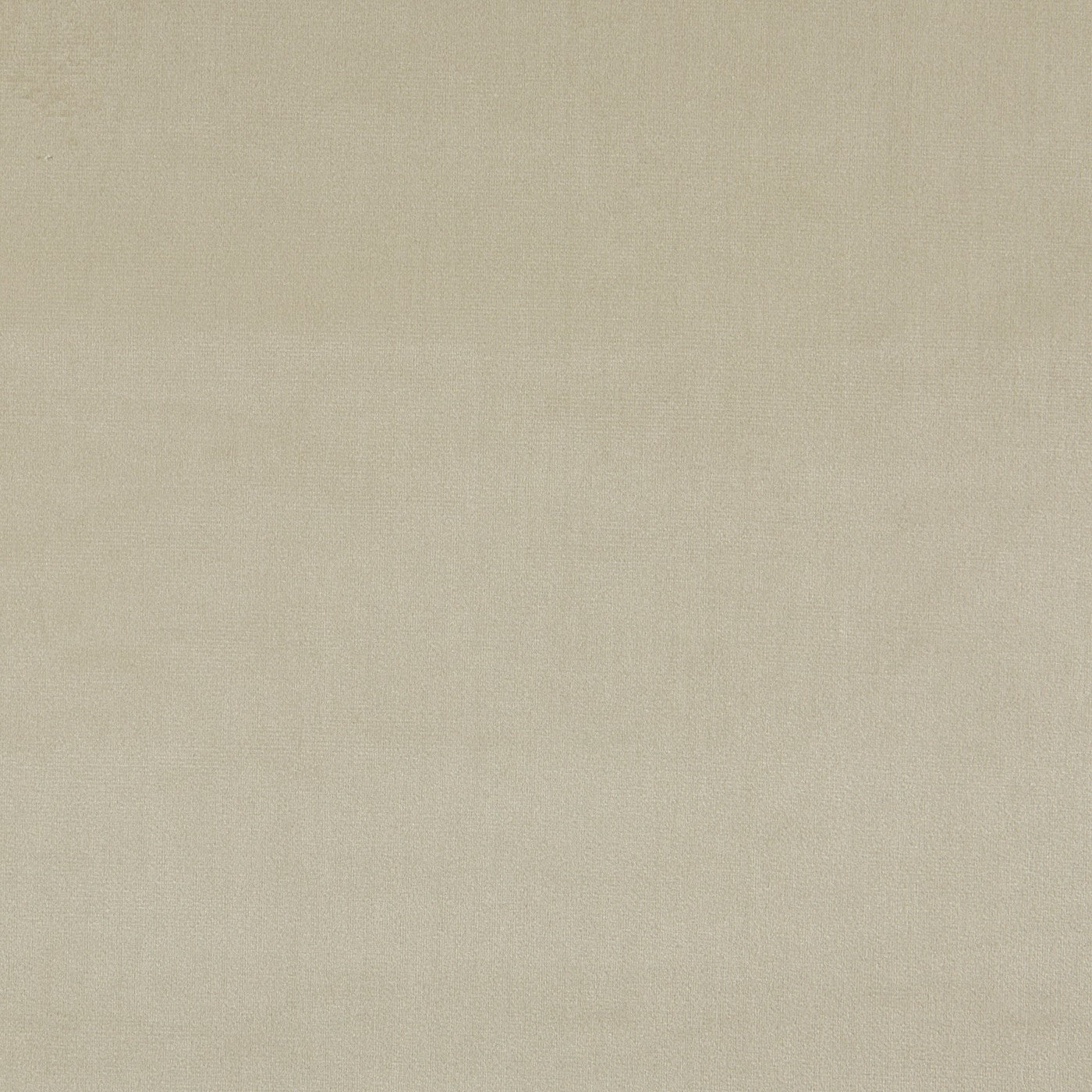 Velour Fabric