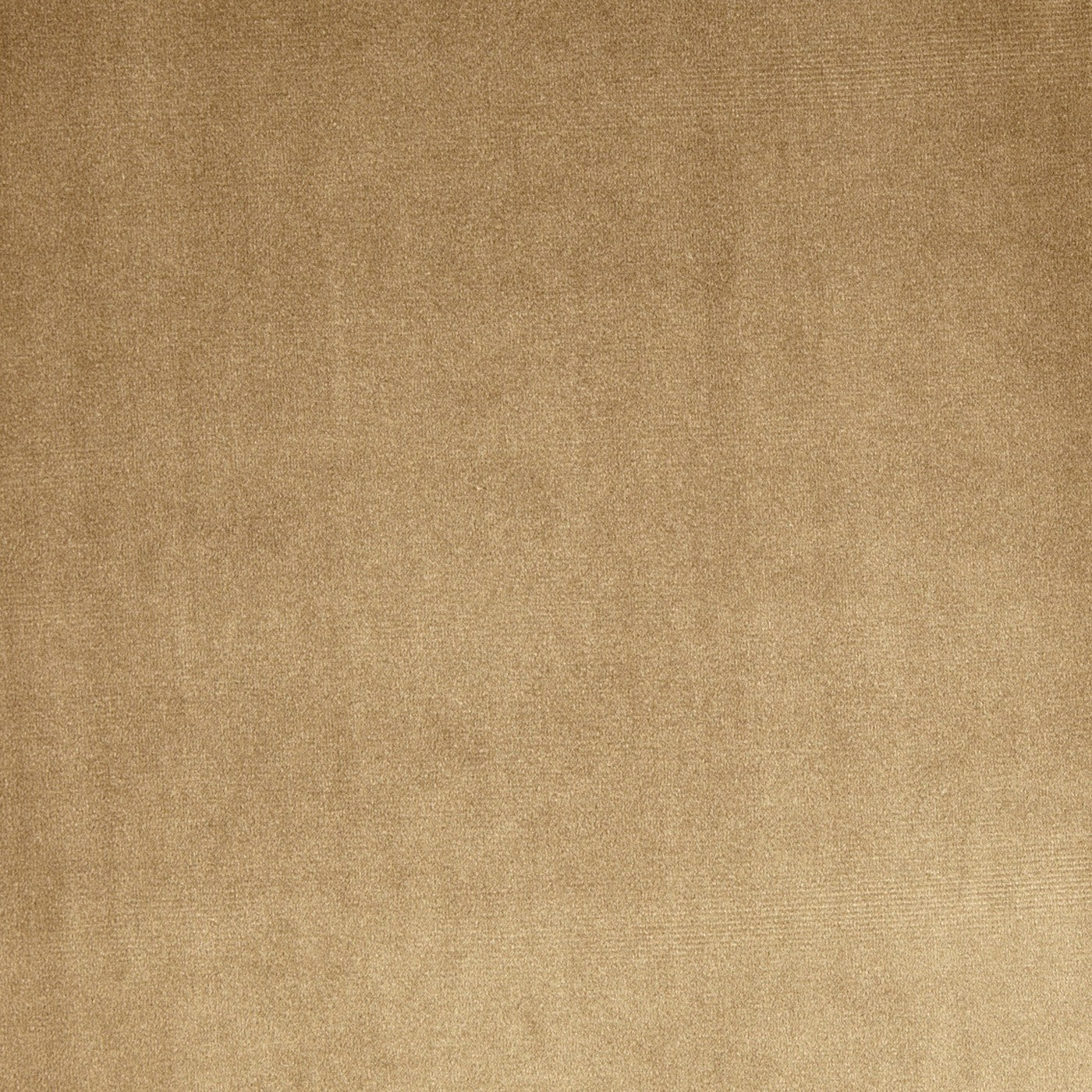 Velour Fabric
