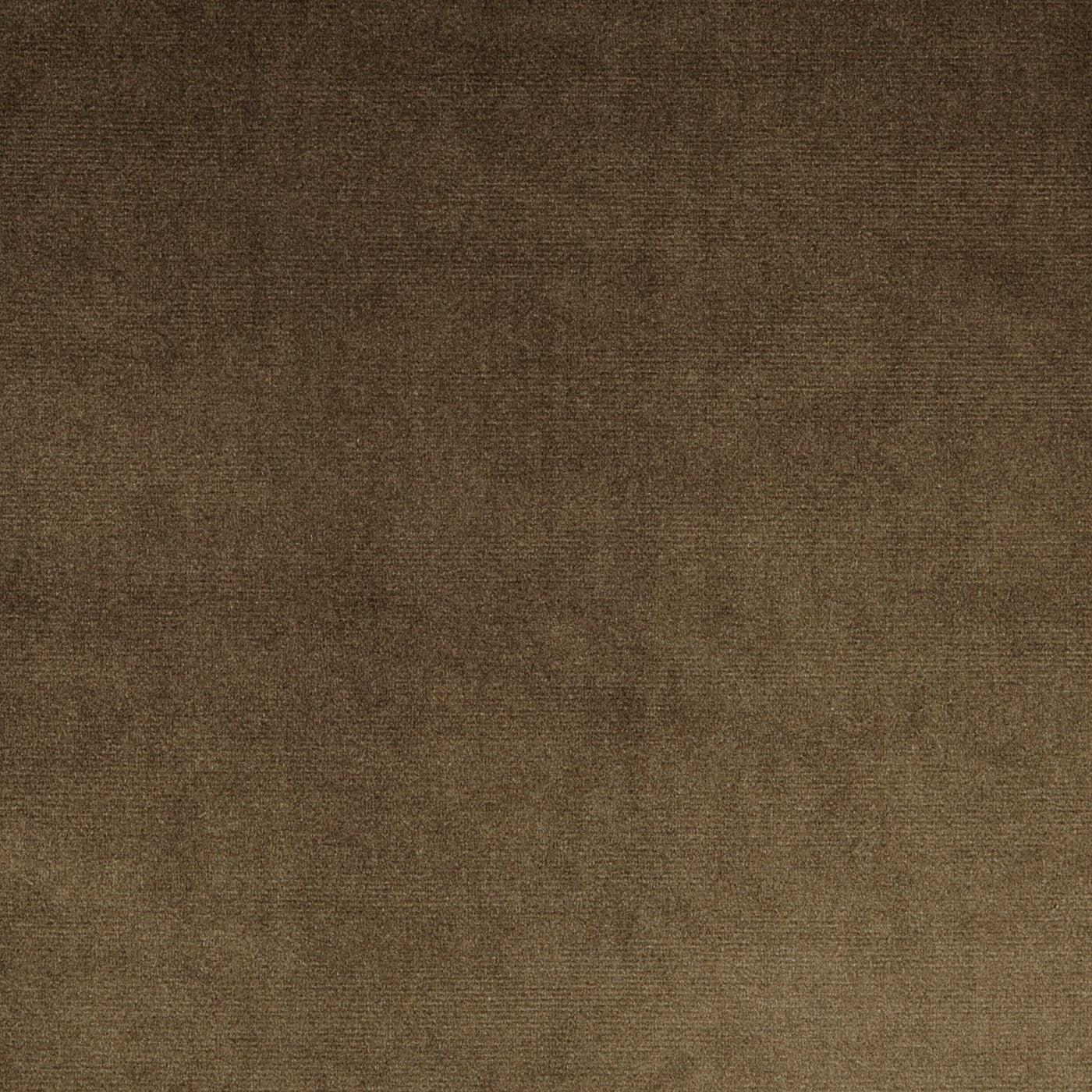 Velour Fabric