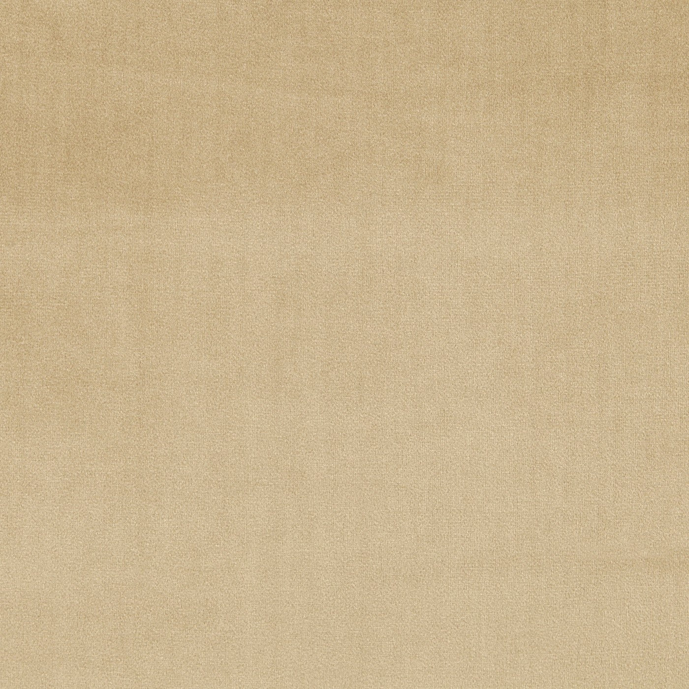 Velour Fabric