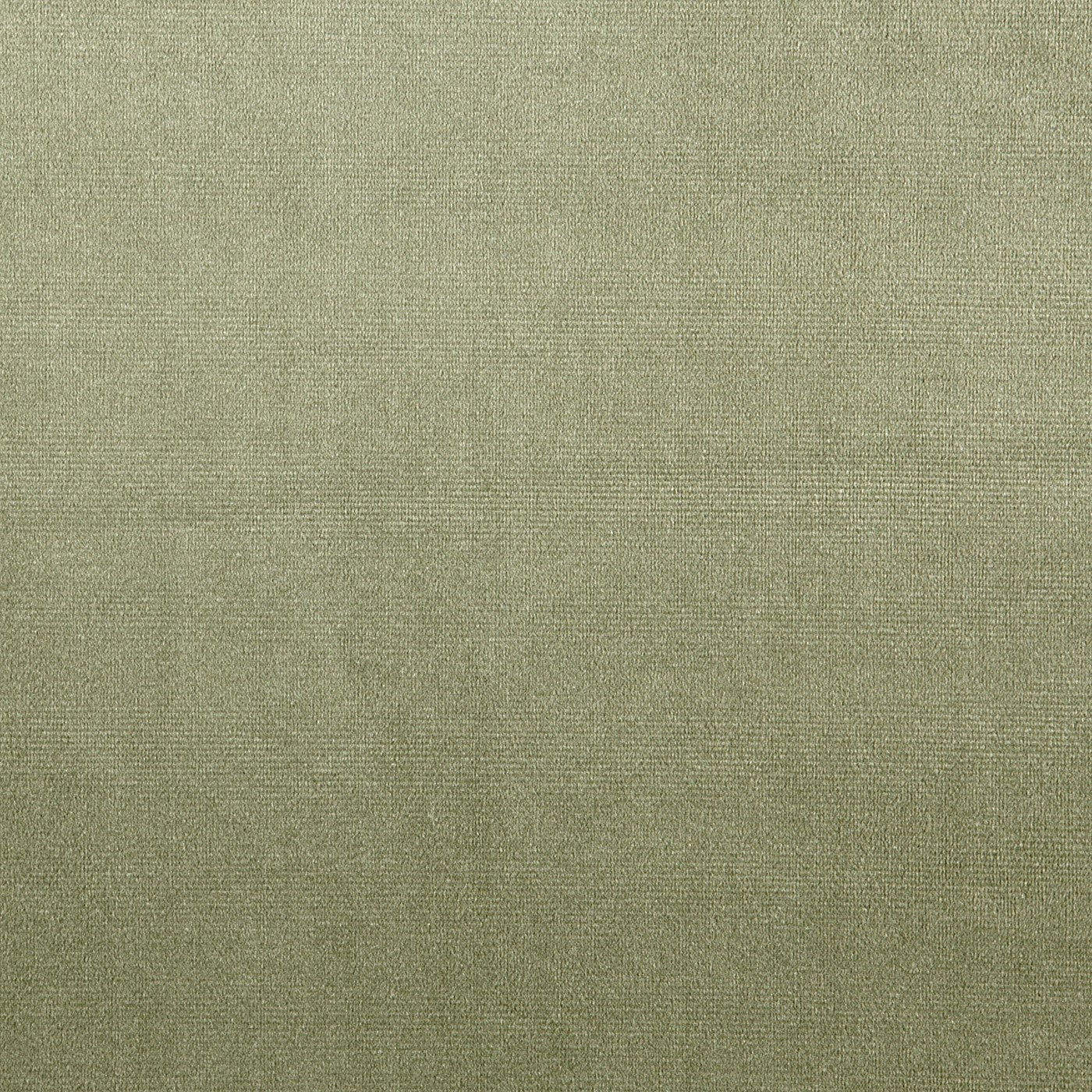 Velour Fabric