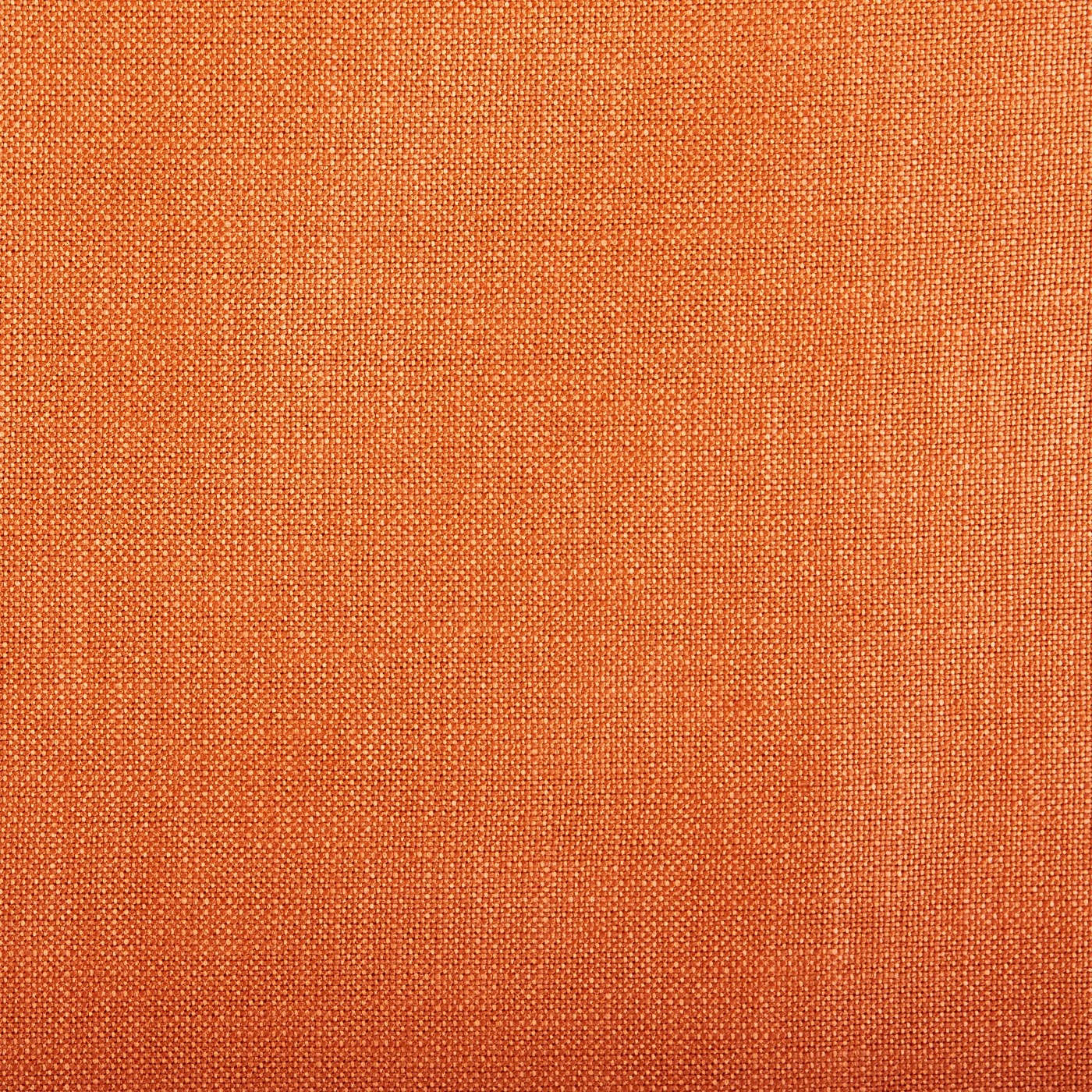 Viking Fabric