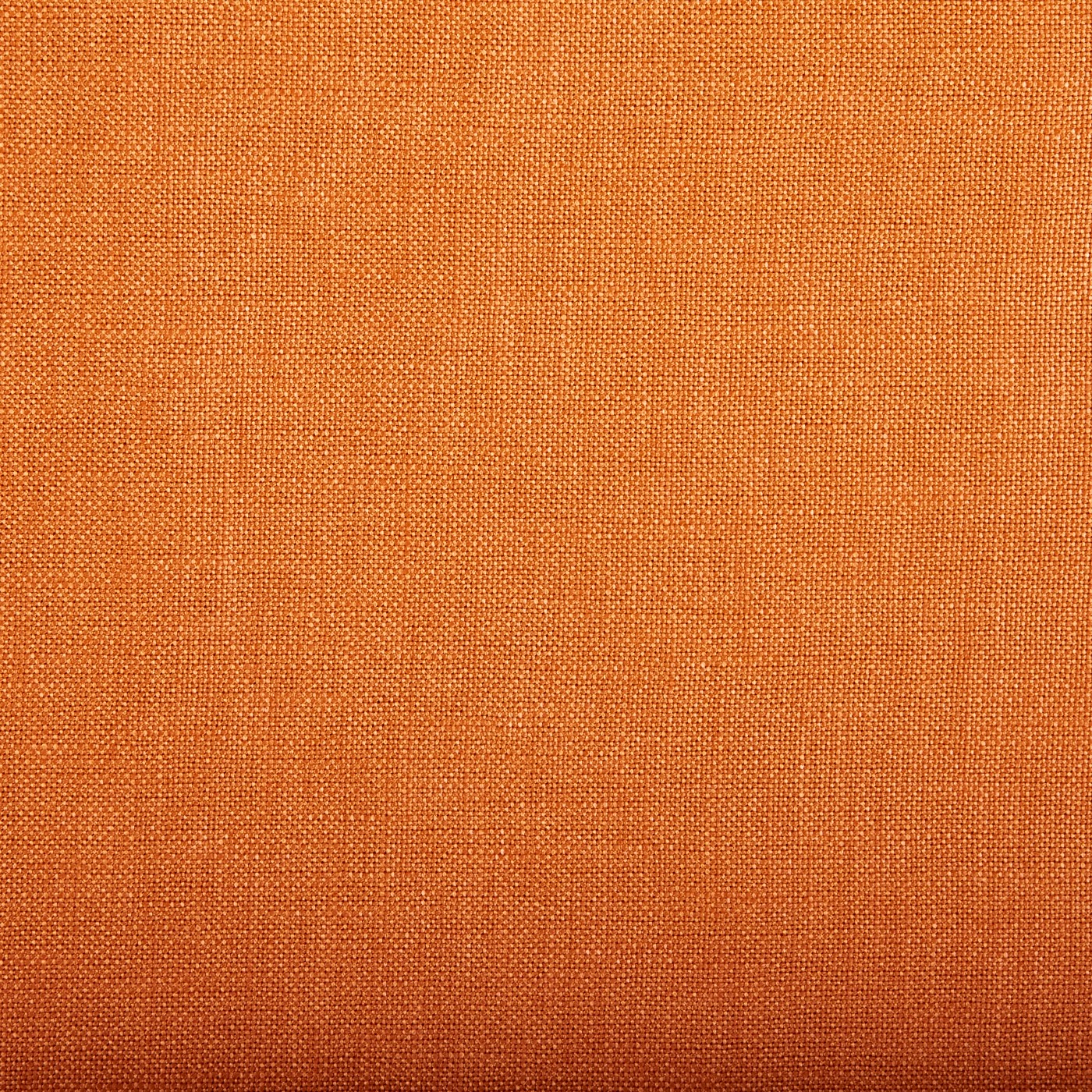 Viking Fabric