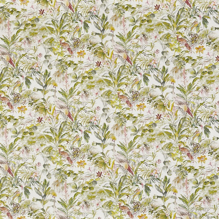 Paradise Fabric