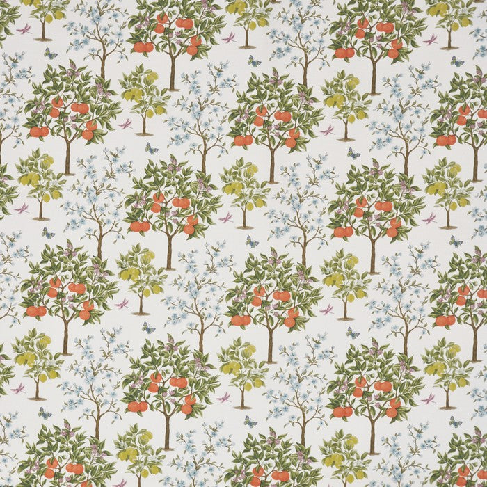 Lemon grove