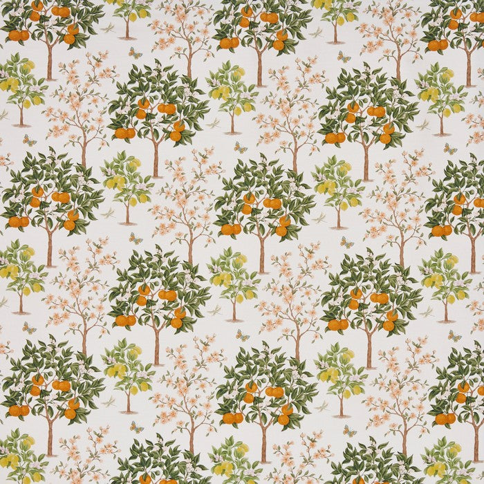 Lemon grove