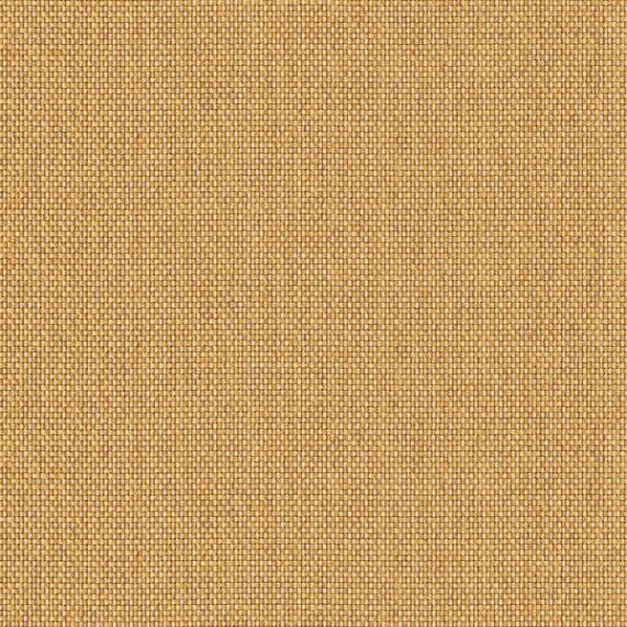 Cosmopolitan Plain Fabric