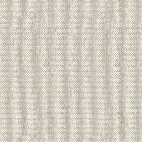 Cosmopolitan Plain Fabric