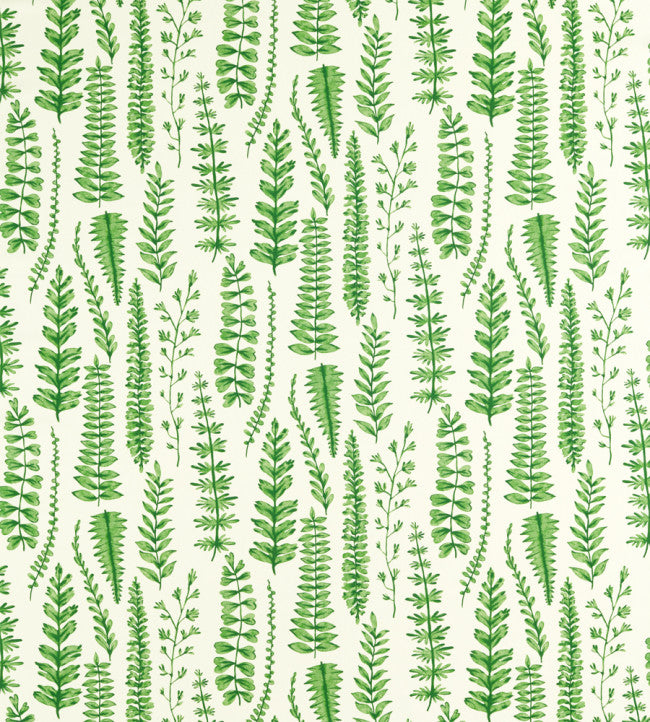 Ferns Fabric