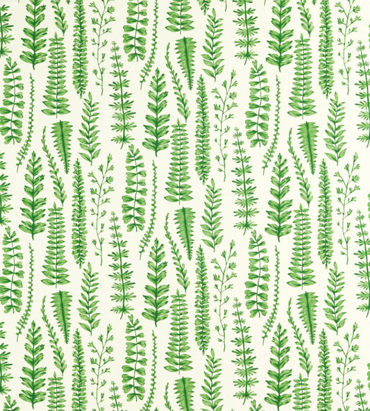 Ferns Fabric
