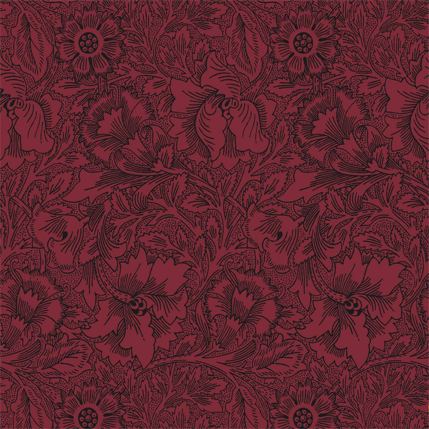 Poppy Wallpaper