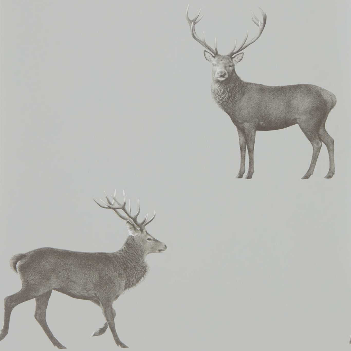 Evesham Deer Wallpaper