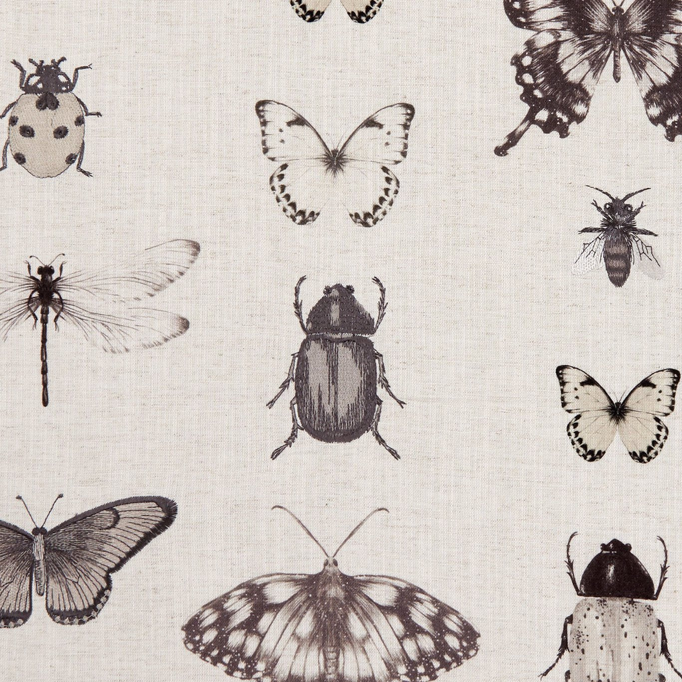 Papilio Fabric