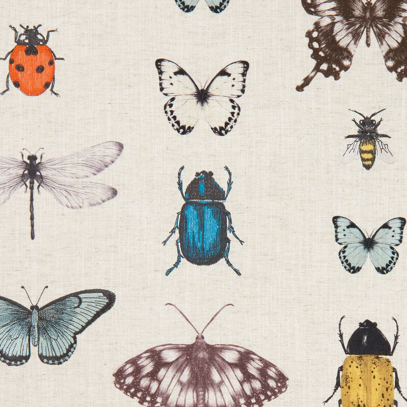 Papilio Fabric