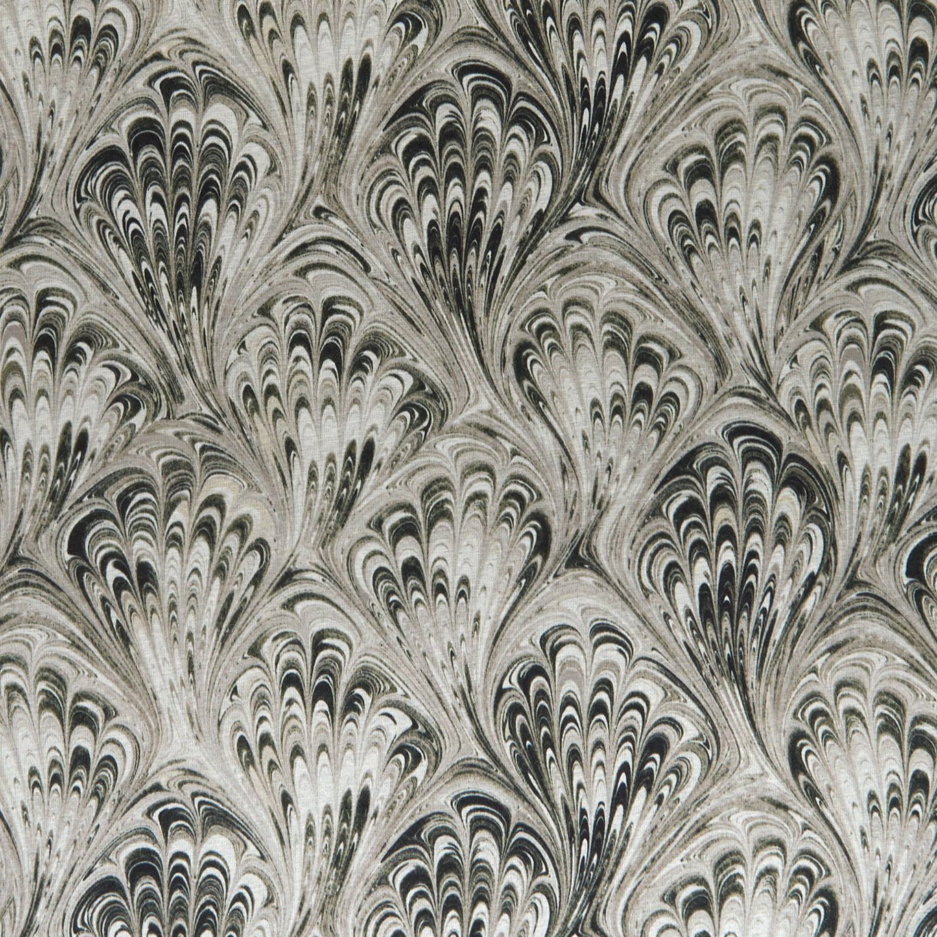 Pavone Fabric