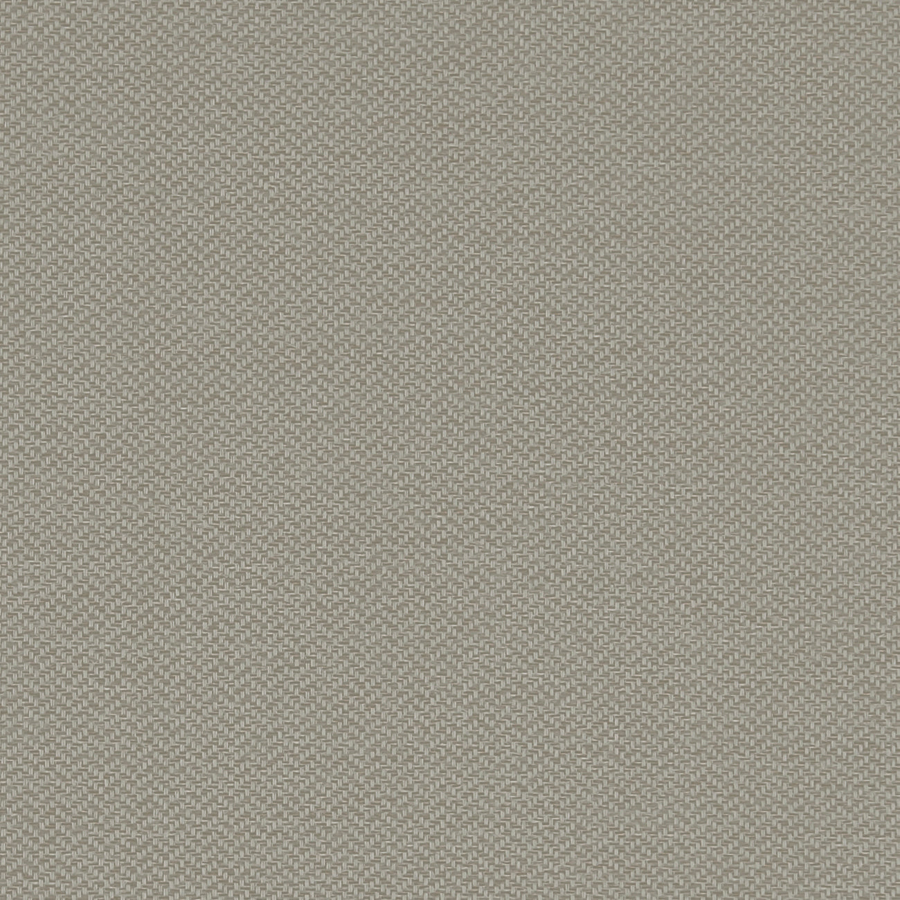 Claro Fabric