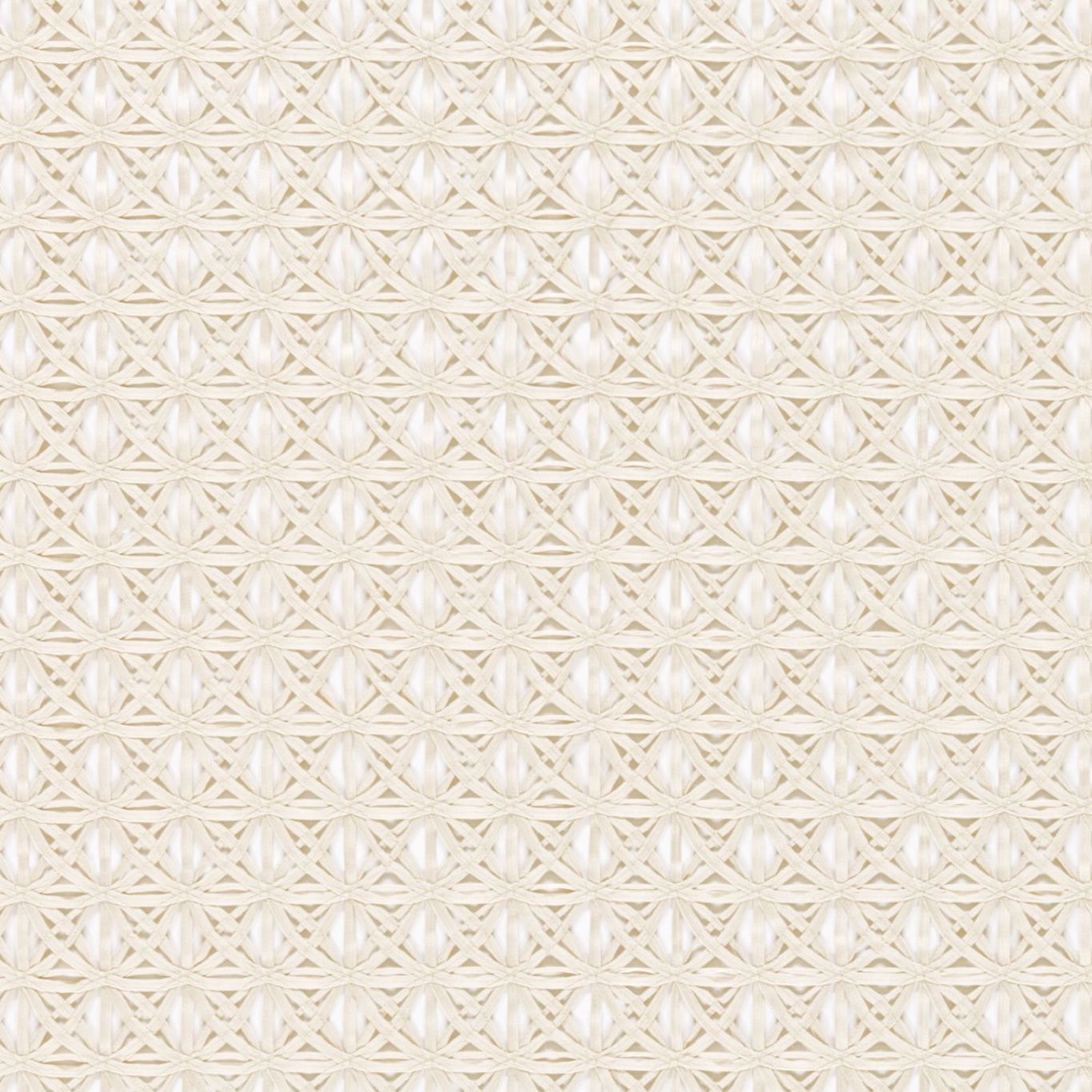 Ribbon Fabric