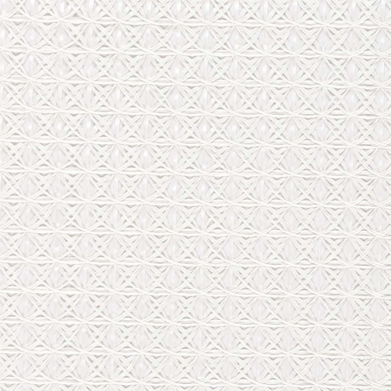 Ribbon Fabric