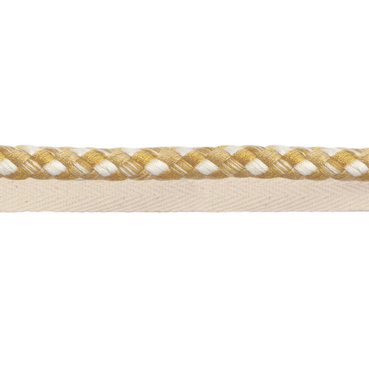 Flanged Cord - Gold