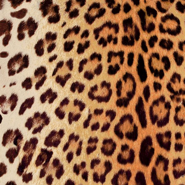Leopard Fabric