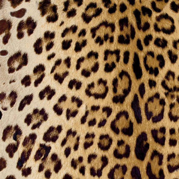 Leopard Fabric