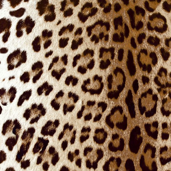 Leopard Fabric