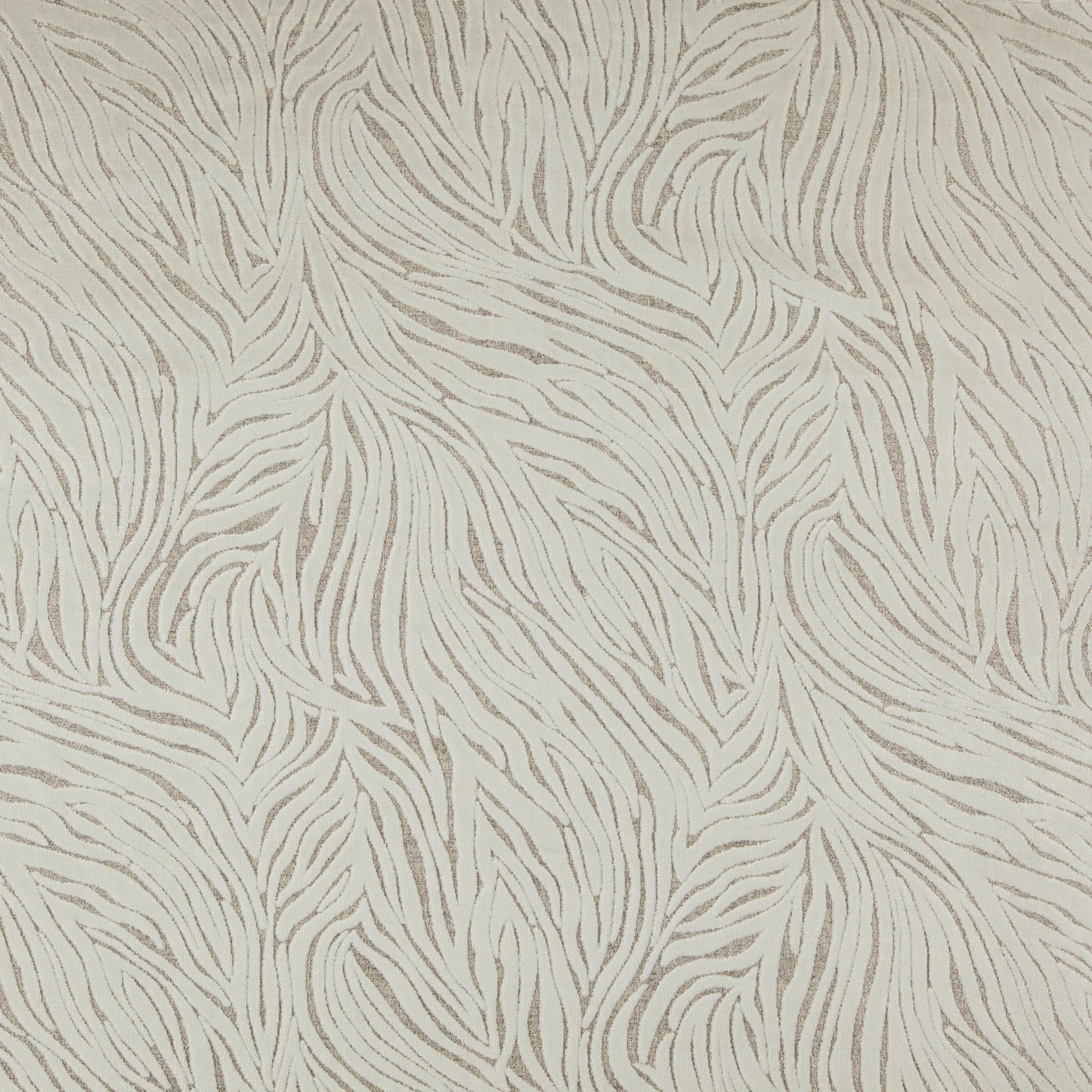 Rafael Fabric