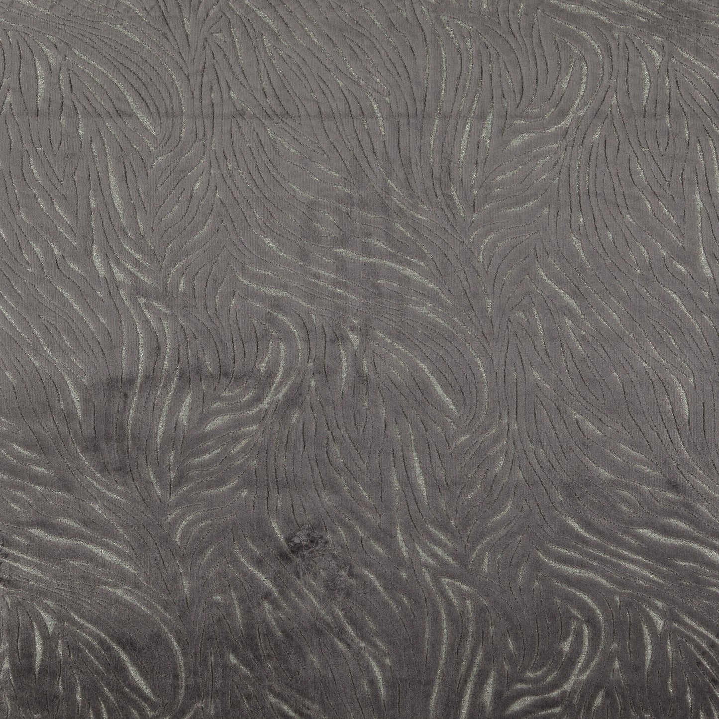 Rafael Fabric