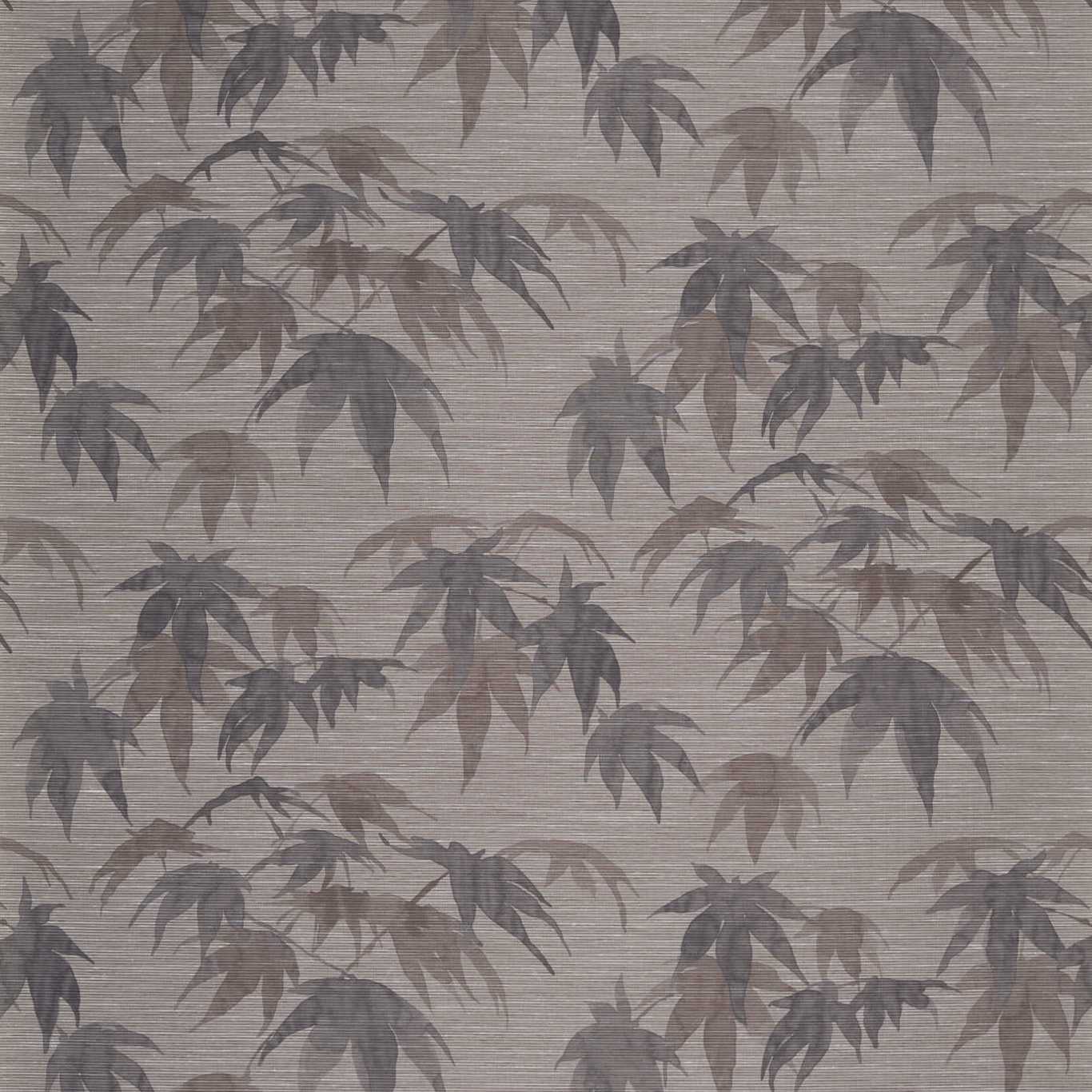 Acer Wallpaper